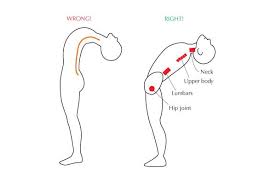 Pin By Darnar Kruy On 111 Project 3 The Joint Human Body Anatomy Human Anatomy Anatomy
