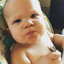 Dee Lott's Famous Recipes