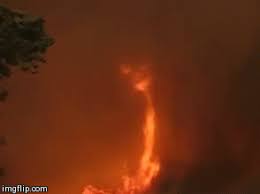 Tornado selfie refers to a frame from a viral video of man looking into a camera as a tornado in the australian outback approaches him. Fire Tornado Gif On Imgur