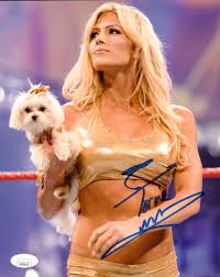 Image result for Torrie Wilson