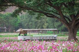 Small silk picture frame by jim thompson fabrics size: Worth Visiting Review Of Jim Thompson Farm Pak Thong Chai Thailand Tripadvisor