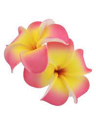 2 Pink Yellow Hawaiian Plumeria Flower Hair Clip Hawaiian Flower Tattoos Plumeria Flowers Hawaiian Flowers