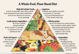 Above that on the food pyramid, you want to make sure to eat plenty of fruits and vegetables. Plant Based Food Pyramid Vegan Bits