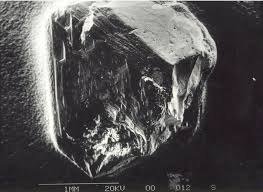 Image result for Flaschengruen 1982 AA