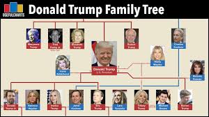 Follow the leaves and watch your family tree grow. Donald Trump Family Tree Youtube
