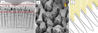 Please mention the order id in your mails as soon as it has been provided (cde xxxx). Laser Assisted Modification Of Titanium Dioxide Nanotubes In A Tilted Mode As Surface Modification And Patterning Strategy Sciencedirect