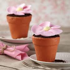 Big Blossom Mini Flower Pot Cakes Flower Pot Cake Pot Cakes Wilton Cake Decorating