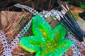 Image result for Eye Tray