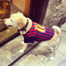 Nuevo integrante de mi familia !!. Messi Dog Jersey Promotions
