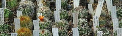 Check spelling or type a new query. Botanischer Garten Und Aromagarten Friedrich Alexander Universitat Erlangen Nurnberg