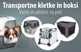 Spletna trgovina za živali buba je namenjena vsem, ki svojim živalim privoščite le najboljše. Pasji Mladici In Varnost Pasje Novice Zoohit Magazin