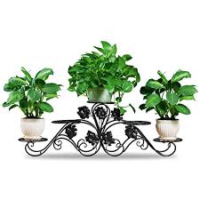 C'est bien connu, les plantes ont toujours fait partie de la décoration d'intérieur. Pots Fer Forge