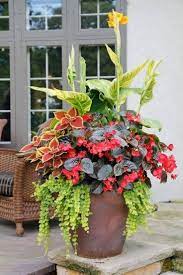 180 Container Gardening Ideas And Inspiration Easy Balcony Gardening Containergarden Contai Container Gardening Flowers Garden Containers Container Flowers