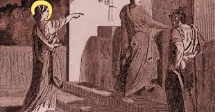 Image result for Eulalia polyneura