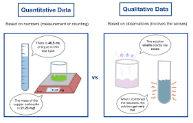Qualitative vs. Quantitative Data — Comparison & Examples - Expii