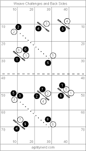 Weave Entry Exits And Back Sides Training Course Dog Training Dog Agility Training Your Dog