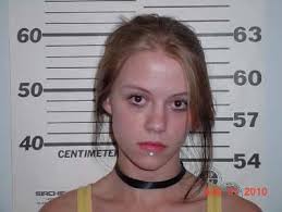 Pair suspected in hundreds of burglaries