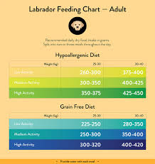 Labrador Feeding Guide With Chart Lovejoys Lovejoys