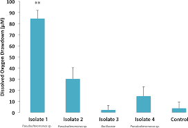 Biological Oxygen Demand Optode Analysis Of Coral Reef