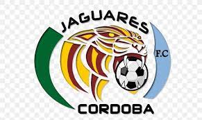 We would like to show you a description here but the site won't allow us. Jaguares De Cordoba Monteria Categoria Primera A Atletico Bucaramanga Once Caldas Png 600x490px Girardot Fc Area