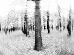 Paintings, photographs, abstracts, prints and more. Abstract Black And White Nature Landscape Art Work Photograph Artecco Fine Art Photography Photograph By Nadja Drieling