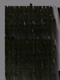 University of Illinois modern foreign language newsletter