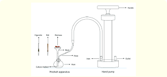 Schematic of the smoke extraction system for preparing cigarette, bidi... |  Download Scientific Diagram