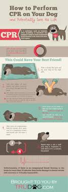 Data Chart How Dog Cpr Could Potentially Save Your Pets