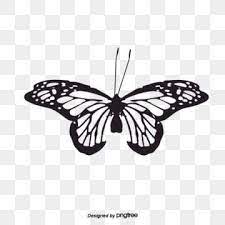 Vector Black And White Butterfly Fengtai Butterfly Silhouette Png And Vector Butterfly Black And White Butterfly Illustration Butterflies Vector