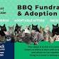Petstock BBQ Fundraiser & Adoption Day event image