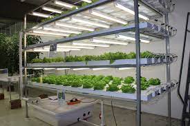 Indoor Aquaponics Hydroponics Aquaponics System