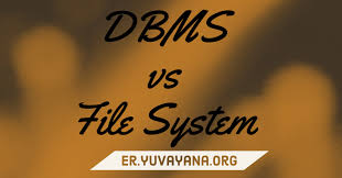 Difference Between Dbms And File System Dbms Vs File System Engineer S Portal