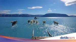 Check spelling or type a new query. Lautan Es Greenland Meleleh Tak Lazim Peneliti Ingatkan Dampaknya Ke Dunia