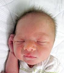 Steuben County births