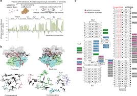 Constant function uses view/pure/constant to decorate, will return the result on the node it is called and not be broadcasted in the form of a transaction. The Molecular Basis For Recognition Of 5 Nnncc 3 Pam And Its Methylation State By Acidothermus Cellulolyticus Cas9 Nature Communications
