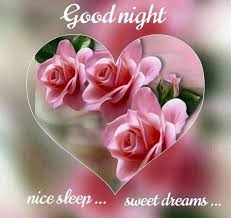 Pin By Nicole Debyser On Good Night Beautiful Flowers Rose Beautiful Roses