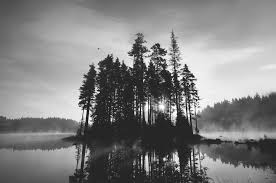Black and white photographs black and white are two colors that complement each other on the spectrum. 9 Black And White Photographers To Follow For Inspiration