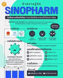 Jun 24, 2021 · the department of medical sciences said the first lot of sinopharm vaccine arrived in thailand on june 20, ordered by chulabhorn royal academy (cra) as an alternative to currently available options. 3su5iqhl98warm