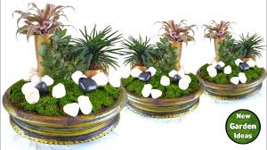 Plants bring plenty of advantages with them as decor accessories, including the range of colors and textures that they can be counted on to add. Tabletop Plants Decoration Ldeas Indoor Plant Pots Moss Garden Youtube