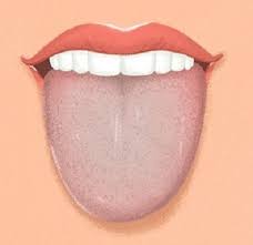 يعرف الإنسان الزوهري باسم الشخص المحظوظ، أي الشخص الذي يُمكن أن يصلح للاتصال بالعوالم الأخرى عن طريق دمه، ويكون ممتلكًا لعلامات لا يعرفها إلا السحرة. Ø¨Ø§Ù„ØµÙˆØ± 9 Ø£Ù„ÙˆØ§Ù† Ù„Ù„Ø³Ø§Ù†Ùƒ Ù…Ø¤Ø´Ø± Ù„Ù…Ø´ÙƒÙ„Ø© Ø¨Ø¬Ø³Ù…Ùƒ Ø§Ù„ÙŠÙˆÙ… Ø§Ù„Ø³Ø§Ø¨Ø¹