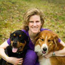 In addition to dogs and cats, dr. All About Pets Veterinary Hospital Llc 9 Recommendations Washington Pa