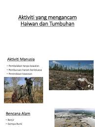 Pada ideo bahagian 3 ini, anda akan mempelajari usaha dan aktiviti yang djalankan bagi pemeliharaan dan pemuliharaan haiwan dan tumbuhan.topik ini dibawah. Aktiviti Yang Mengancam Haiwan Dan Tumbuhan