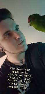 How to differentiate between babool and kikar?