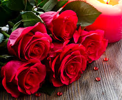 Rose 4k Ultra Hd Wallpaper Background Image 3840x3142 Id 600274 Wallpaper Abyss Unable to complete your request at this time. rose 4k ultra hd wallpaper background