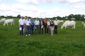 Svédországban linköping város közelében készülőben van a híres plantagon greehouse első vertikális farmja. Www Charolais Hu Sved Tanulmanyut