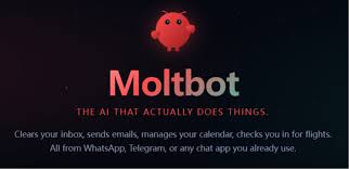 爆红即“暴雷”？Moltbot（Clawdbot）热捧背后，无数账号正在裸奔 ...