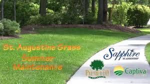 St Augustine Grass Summer Maintenance Youtube