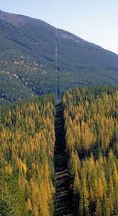 Canada lifted its prohibition on americans crossing the border to shop, vacation or visit on monday while the united states is maintaining similar restrictions for canadians, part of a bumpy. The Trail Separated The Usa And Canada Border Natural Landmarks Favorite Places 7 Continents