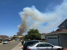 San Francisco Chronicle - News update