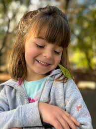 Is it a leaf bug found in Ramona, CA?